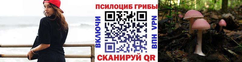 Галлюциногенные грибы мицелий  Россошь 